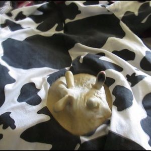 Costume, Cow, Halloween
